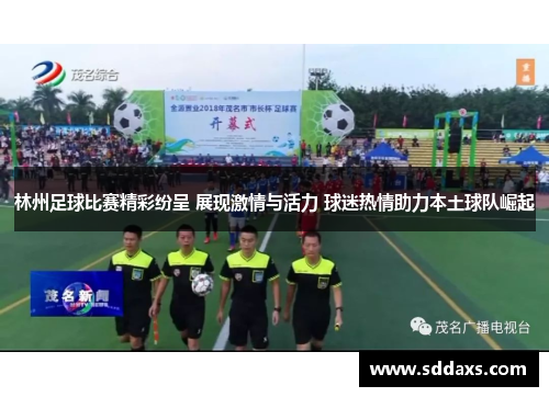 林州足球比赛精彩纷呈 展现激情与活力 球迷热情助力本土球队崛起