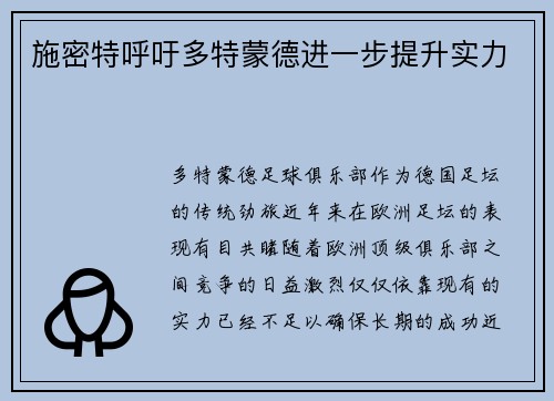 施密特呼吁多特蒙德进一步提升实力